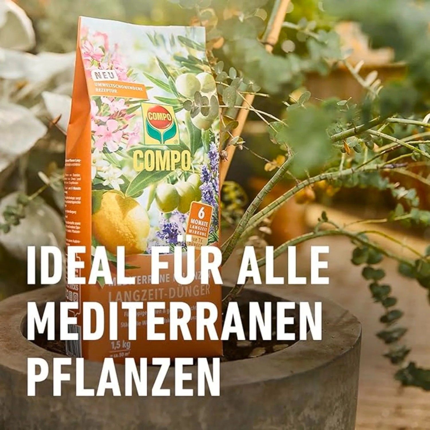 Compo Mediterrane Pflanzen Langzeit-Dnger 1,5 kg kaufen bei OBI