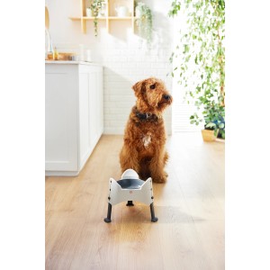 Weißer, höhenverstellbarer Rotho Futternapf Sammy (1,02 l) vor einem sitzenden Hund.