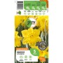 Verpackung der gelben Narzisse Dutch Master von GROW by OBI, Blumenzwiebeln für den Garten.