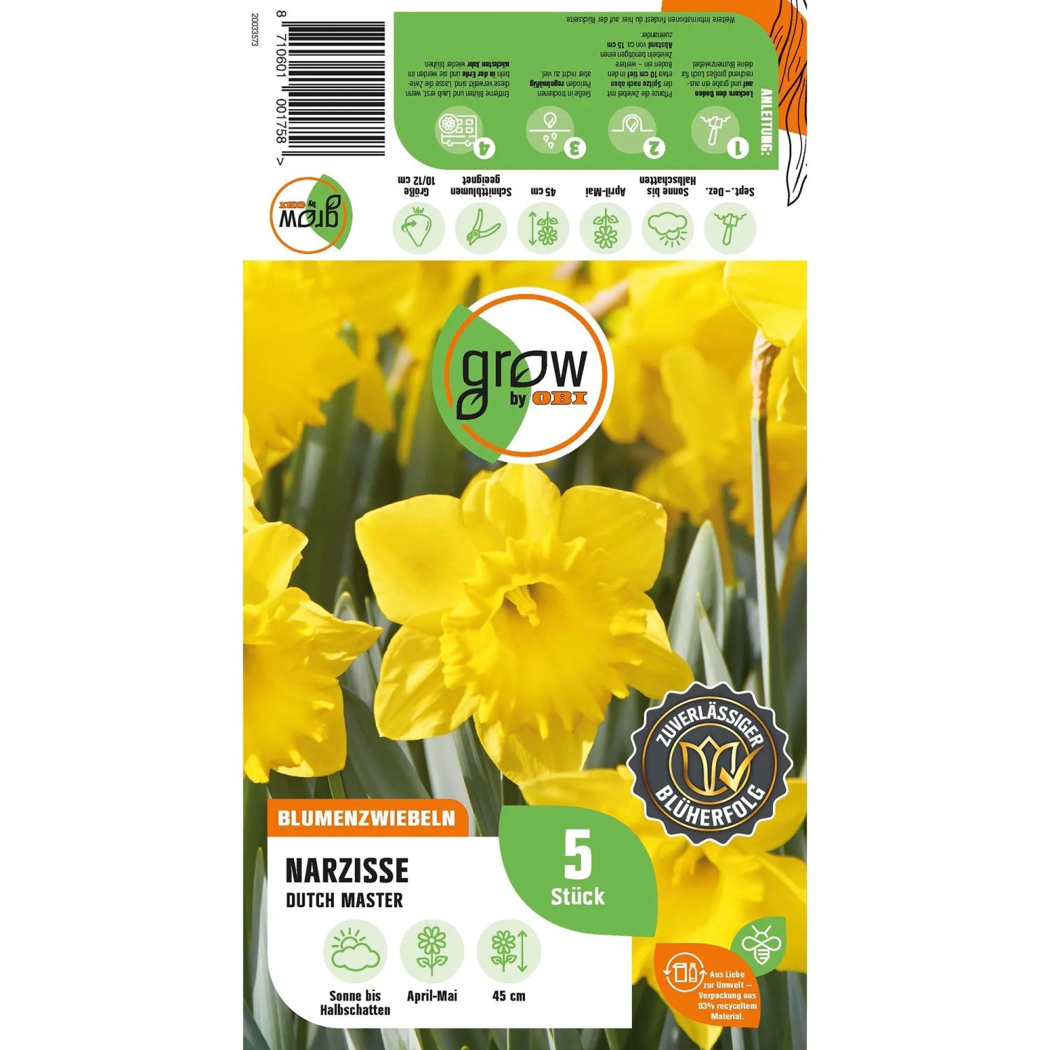 Verpackung der gelben Narzisse Dutch Master von GROW by OBI, Blumenzwiebeln für den Garten.