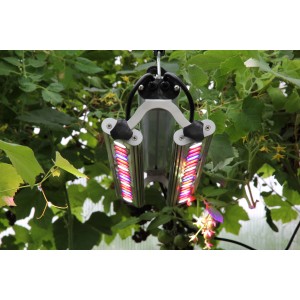 Parus LED-Pflanzenlampe GrowLight Quattro Double 60W im Einsatz zur Pflanzenanzucht.