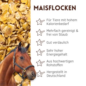 Braunes Pferd vor goldgelben Supravit Maisflocken. Ergänzungsfutter für Pferde: hoher Energiegehalt, gut verdaulich, staubfrei.