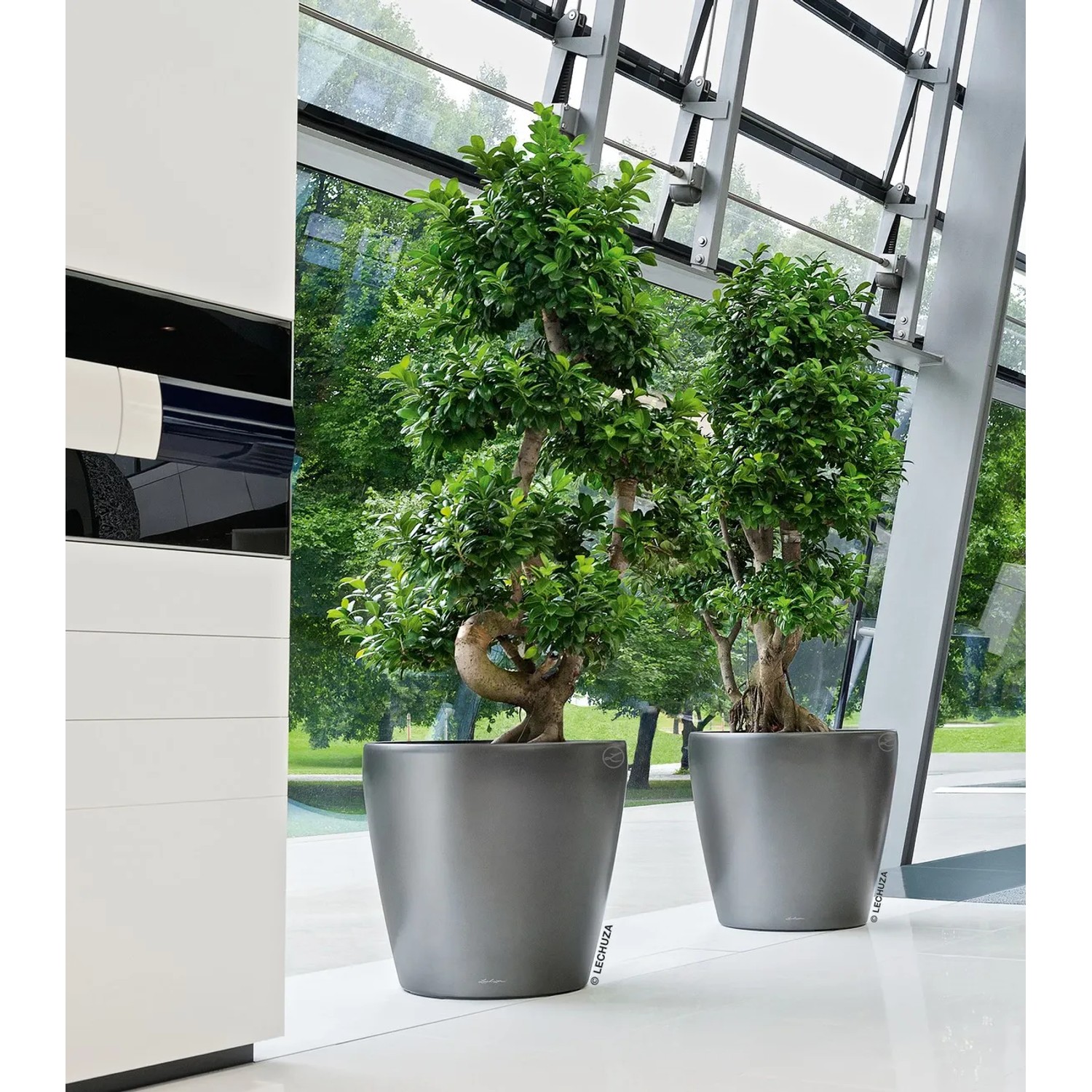 Lechuza Classico Premium Pflanzgefäß, Ø 60 cm, Anthrazit metallic, mit zwei Pflanzen.