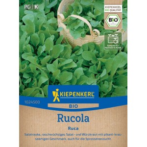 Kiepenkerl Saatgut BIO Rucola Salatrauke