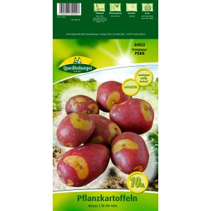 Quedlinburger Pflanzkartoffeln Nemo, 10 Stück, mit gelber Schale und roten Flecken.