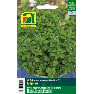Saatgut Majoran (Origanum majorana) von Austrosaat, einjähriges Küchenkraut für deftige Speisen.