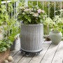 Schwarzer Wagner Pflanzenroller GH 7006 Ø 38 cm mit Pflanze auf einer Terrasse.