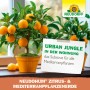 Zitronenbaum in gelbem Topf mit Neudorff Zitruserde. Ideal für mediterrane Pflanzen.