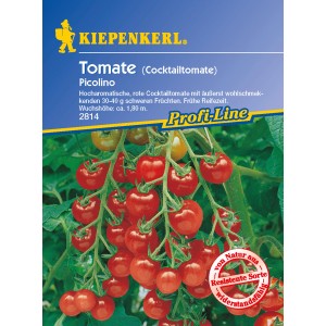 Kiepenkerl Cocktail Tomaten Picolino F1 Samen mit roten, reifen Tomaten an der Pflanze.