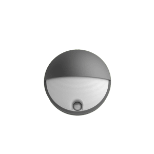 Anthrazitfarbene Philips Capricorn LED Außenwandleuchte mit Bewegungssensor.