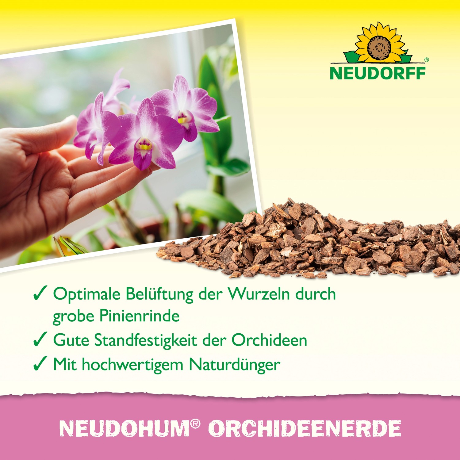 Neudorff NeudoHum Orchideenerde: Orchidee mit Erde und Pinienrinde für gute Belüftung.