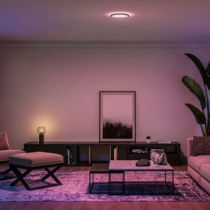 Philips Hue LED-Panel Tento White & Color Ambiance S Schwarz Ø 29,1 cm