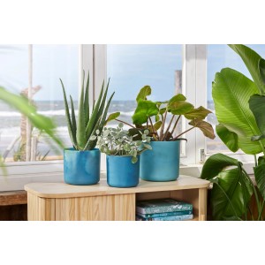 Drei atlantikblaue Elho Übertöpfe Ocean Collection (Ø 16 cm) mit Pflanzen auf einem Tisch vor einem Fenster.