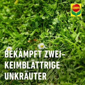 orchideen weiß kaufen Orchidee FIORE 76 cm weiß – LEONARDO main image 1