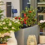 Gardena Micro-Drip-System zur Tropfbewässerung von Terrassenpflanzen, inklusive Basisgerät und Tropfern.