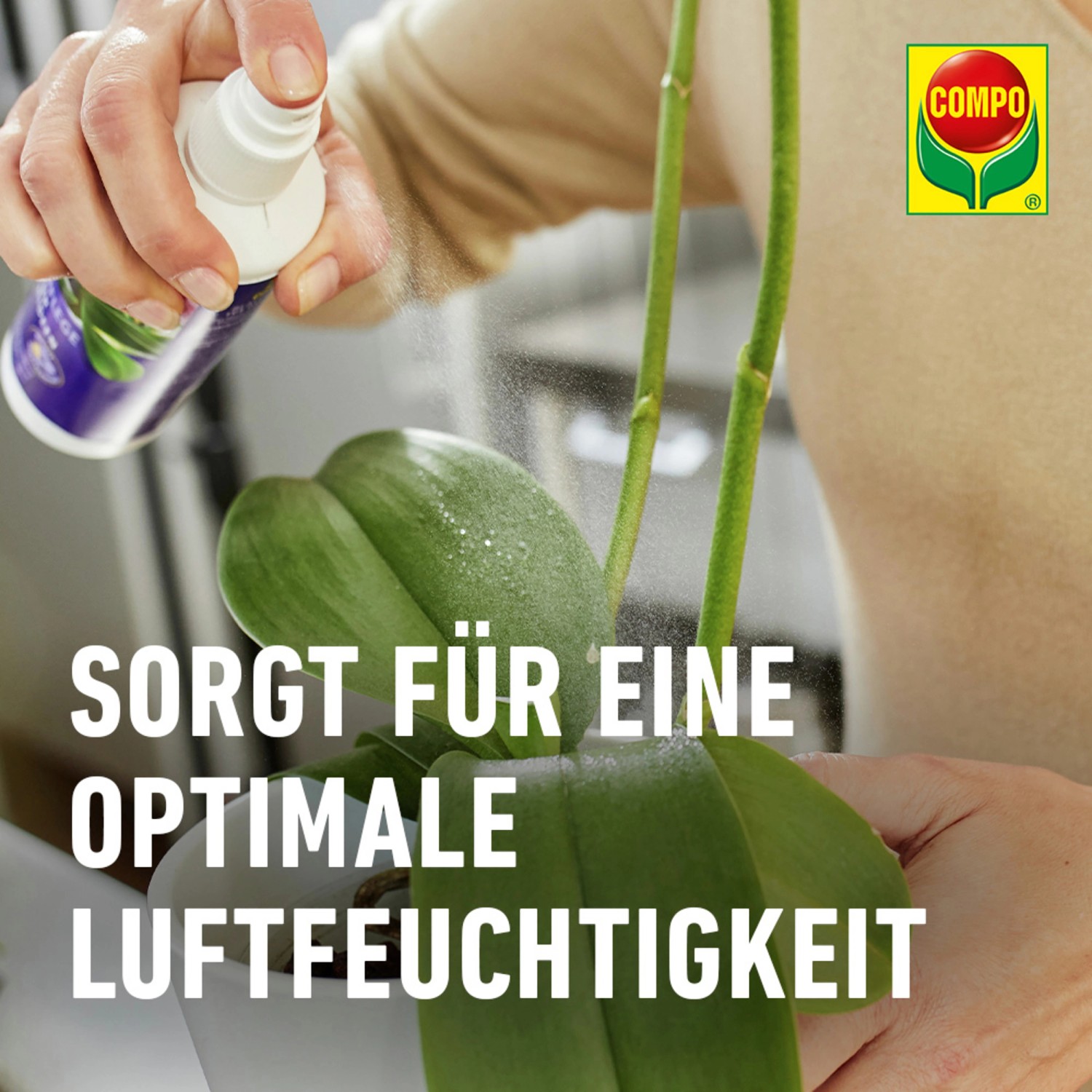Compo Blattpflege für Orchideen 250 ml_9
