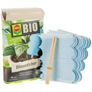 Compo Bio-Blausticker, 10 Stück, zur Schädlingsbekämpfung an Zierpflanzen. Leimfalle mit Holzstäben.
