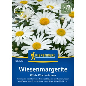 Kiepenkerl Wiesenmargerite, weiße Blüten mit gelber Mitte, ideal für Blumenwiesen.