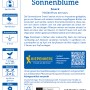 Kiepenkerl Sonnenblume Snack Saatgut Packung, gelbe Blüte. Blumensamen für Sonnenblumenkerne.