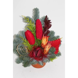 Rote Grabschale Nobilis, ca. 15 cm, mit Tannengrün und Dekorationen für Gedenktage.