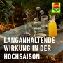 Compo Wespenspray: Gartentisch mit Getränken und Blüten, Text "Langanhaltende Wirkung in der Hochsaison".