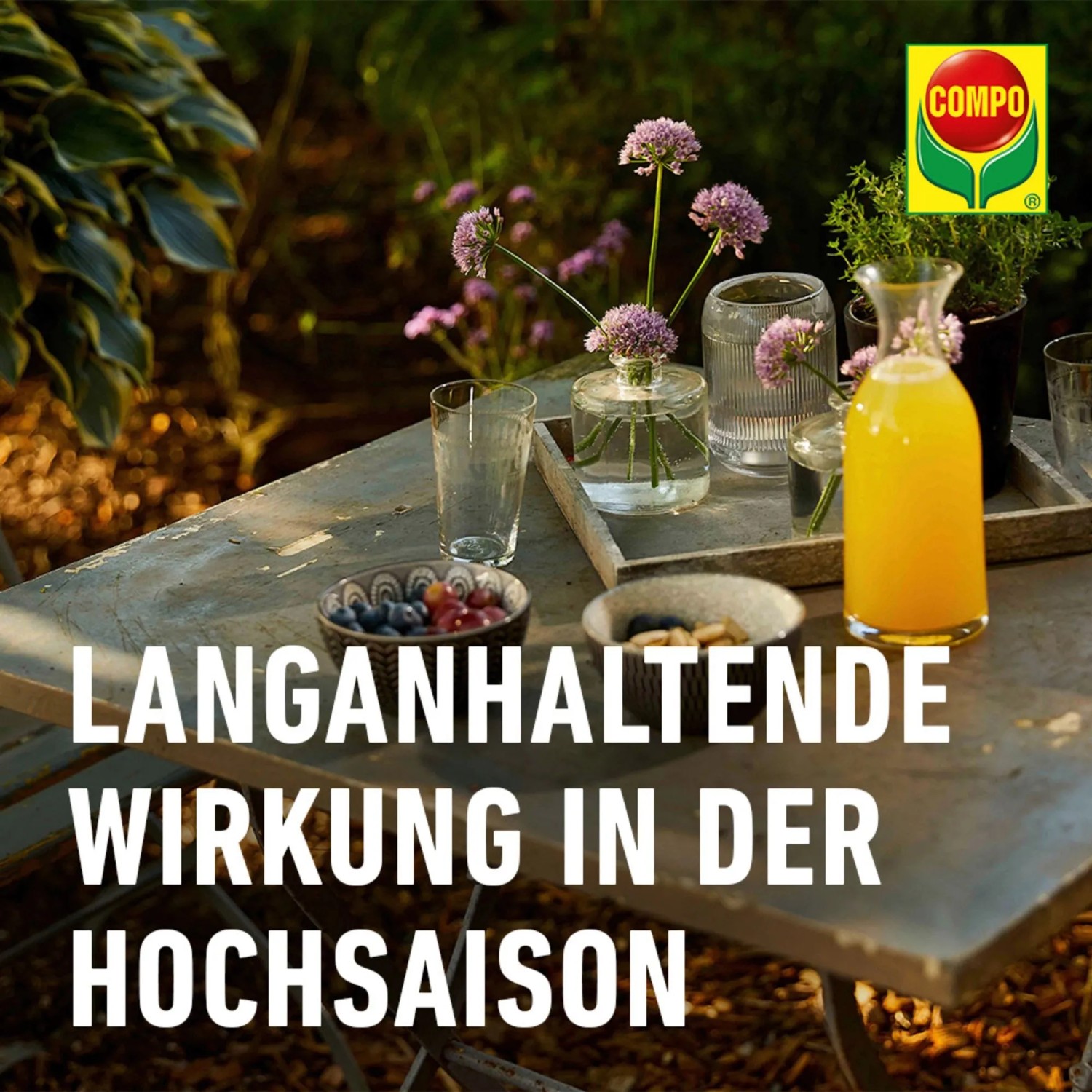 Compo Wespen Schaum-Gel Spray 500 ml kaufen bei OBI
