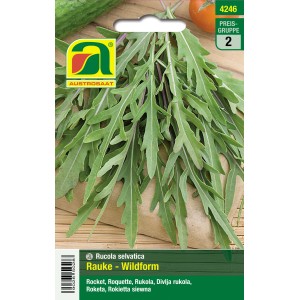 Austrosaat Saatgut Rauke Wildform, Rucola selvativa mit gezahnten Blättern.