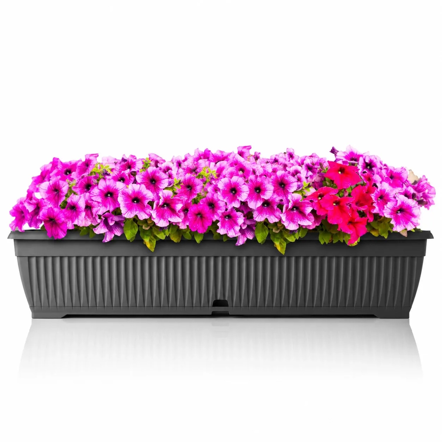 BigDean Blumenkasten 80 cm mit Untersetzer und Wasserspeicher – bruchsicherer Pflanzkasten für innen und außen – Made in Europe kaufen bei OBI