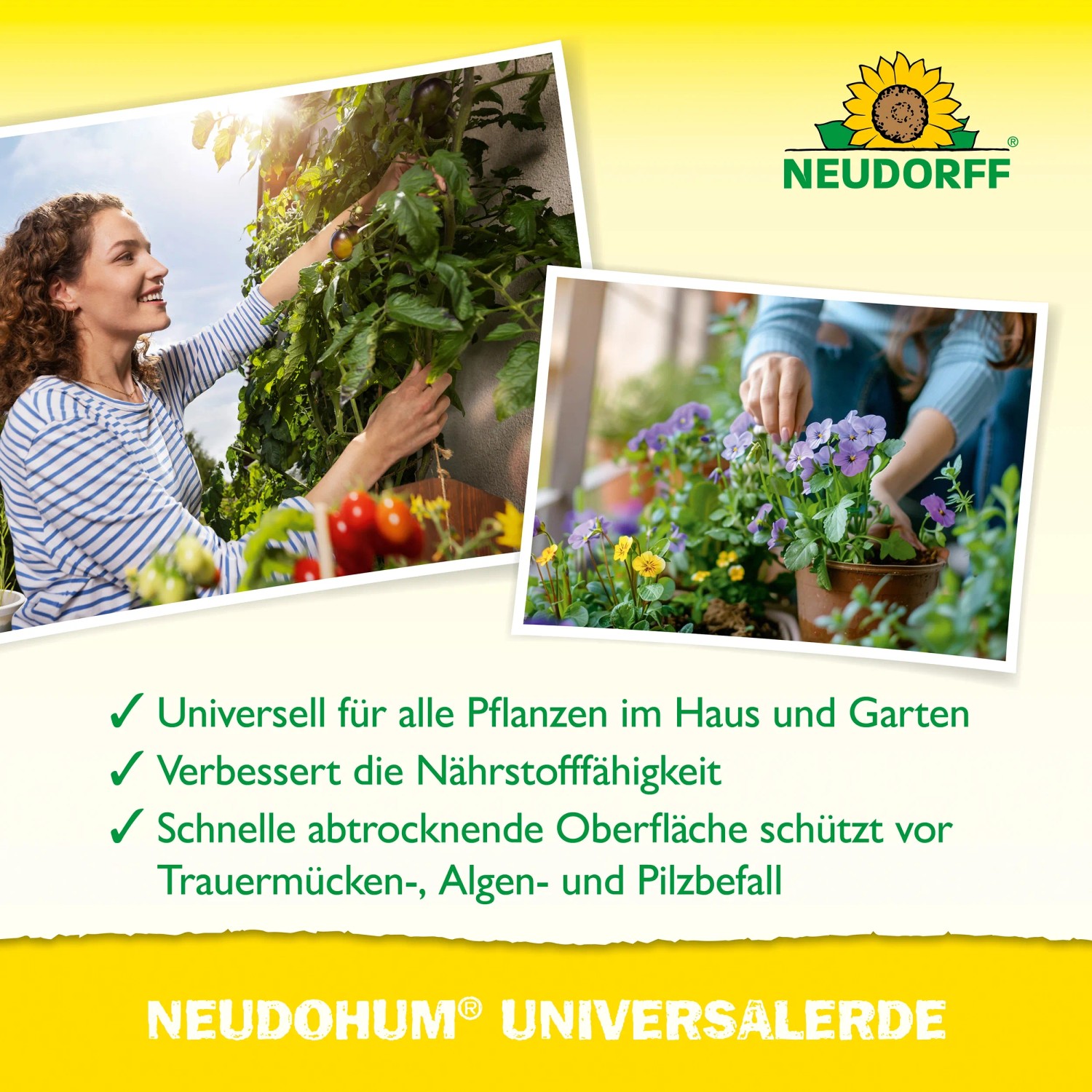 Neudorff Universalerde Neudohum 75 l: Frau pflanzt Tomaten und Blumen mit der Erde.