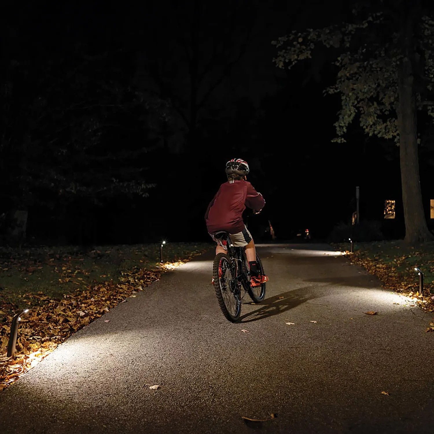 Mr. Beams MB592 LED-Batterie-Wegeleuchte mit Bewegungsmelder Braun 2er-Pack kaufen bei OBI