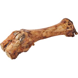 Primox Hunde-Snack Kalbsunterbein, getrockneter Kausnack für Hunde.