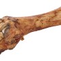 Primox Hunde-Snack Kalbsunterbein, getrockneter Kausnack für Hunde.