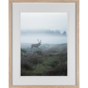 MDF-Bilderrahmen Eiche gekälkt 40x50 cm mit Hirsch-Motiv im Nebel.