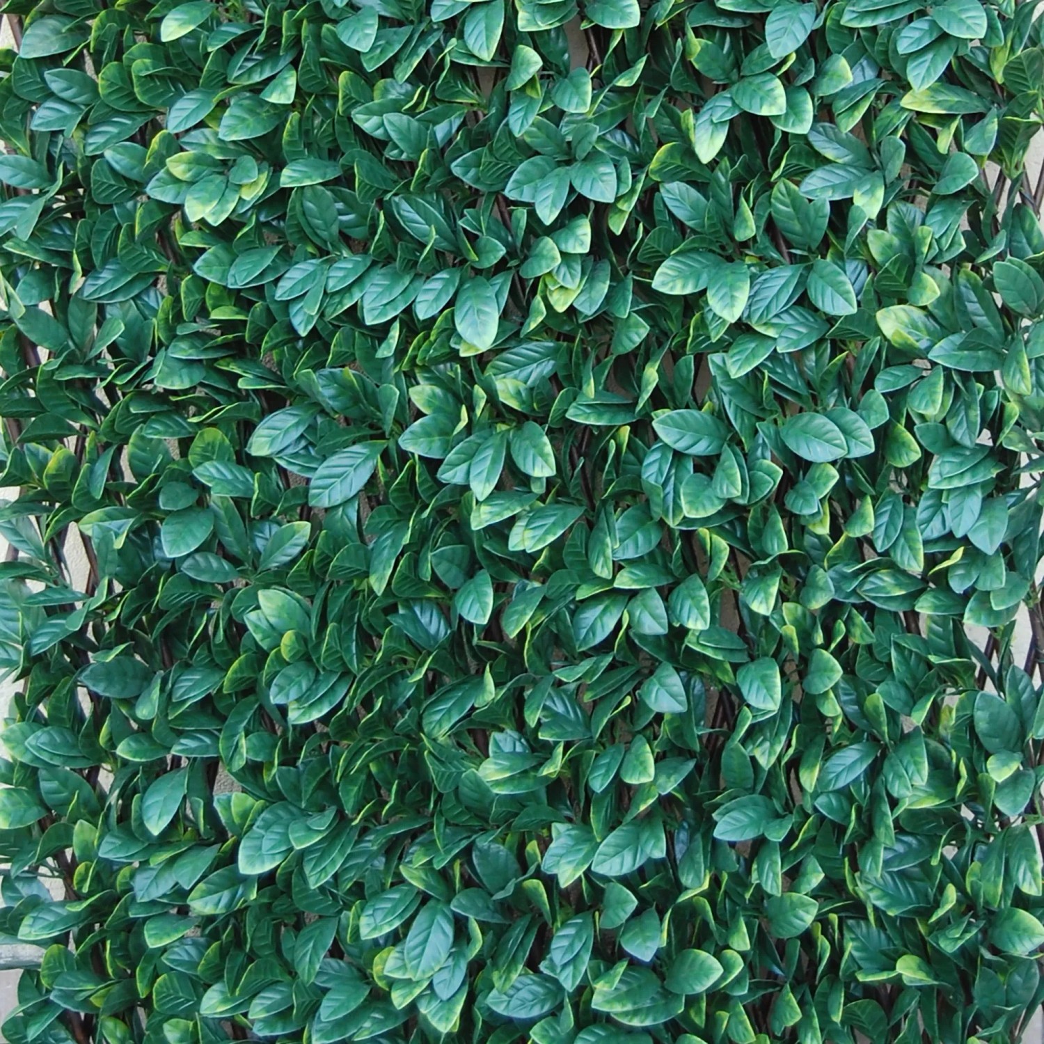 Tenax Knstliche Hecke Divy 3D X-Tens Osmanthus 1 m x 2 m Grn kaufen bei  OBI