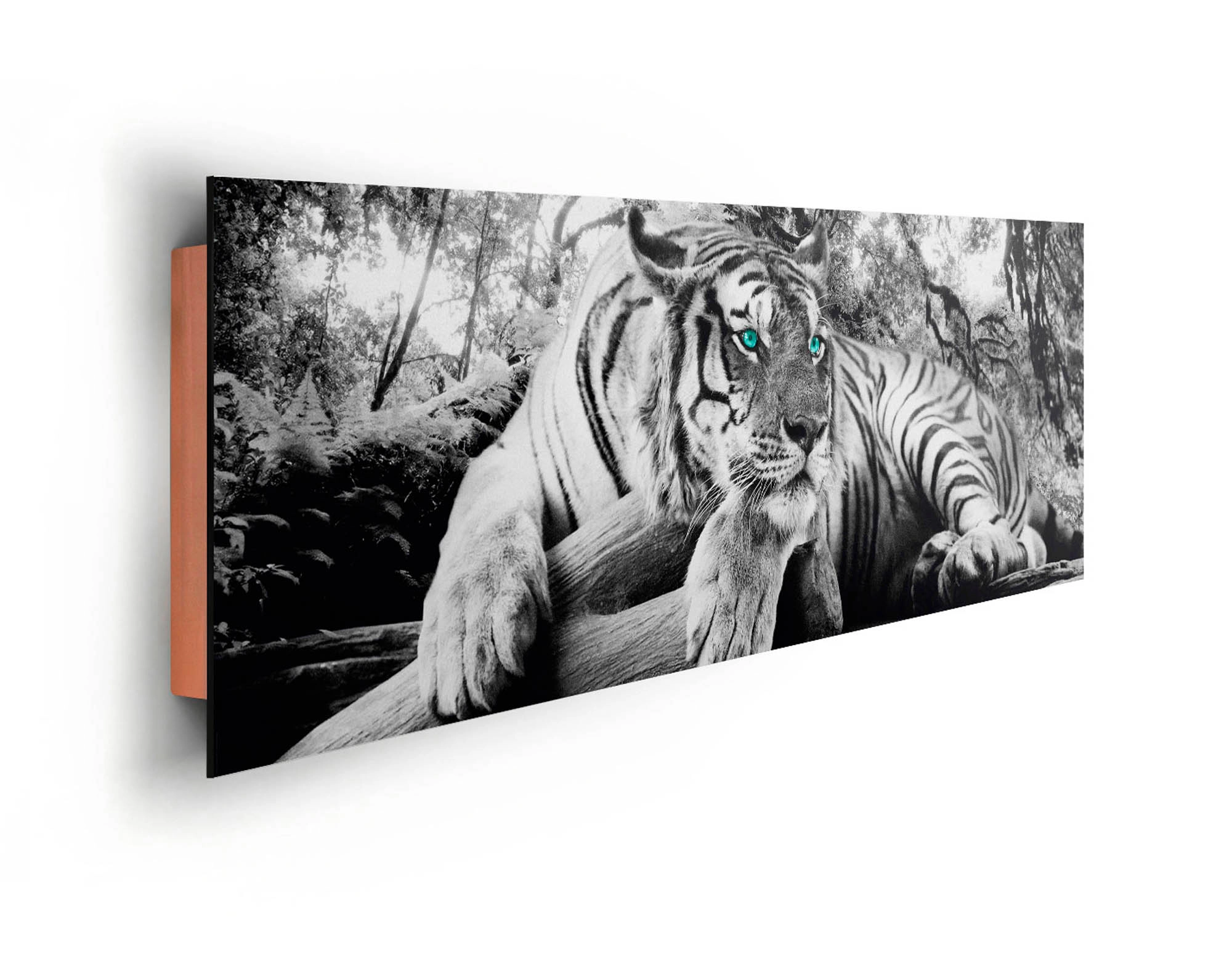 Wandbild Tiger guckt dich an 156 cm x 52 cm kaufen bei OBI