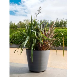Grauer Deroma Pflanztopf Original (Ø 57 cm) mit grünen Pflanzen auf einer Terrasse. Robuster Blumentopf für Garten.