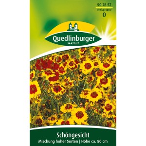 Packung Schöngesicht Blumensamen, Mischung hoher Sorten mit gelben und roten Blüten.