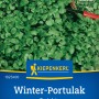 Kiepenkerl Winterportulak Samenpackung mit frischen, grünen Blättern. Frosthartes Blattgemüse für den Winteranbau.