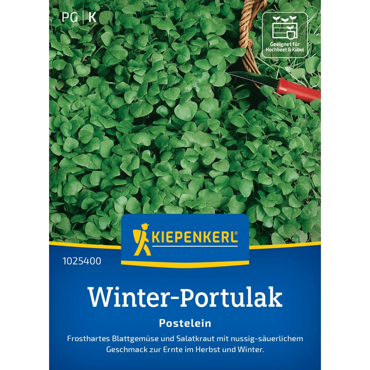 Kiepenkerl Winterportulak Samenpackung mit frischen, grünen Blättern. Frosthartes Blattgemüse für den Winteranbau.