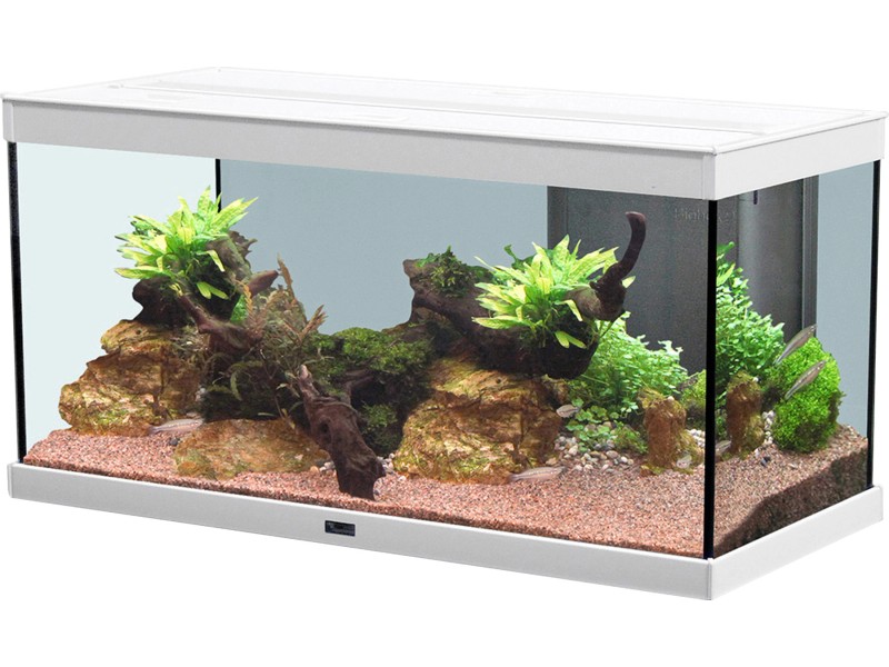 Aquatlantis Aquarium Style LED 80 x 35 cm Weiß 86 l kaufen bei OBI