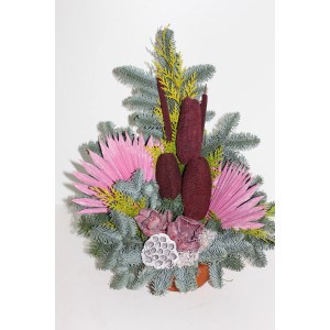 Grabschale Nobilis mit Bordeaux-Rose, ca. 18 cm, dekoratives Grabgesteck für Gedenktage.