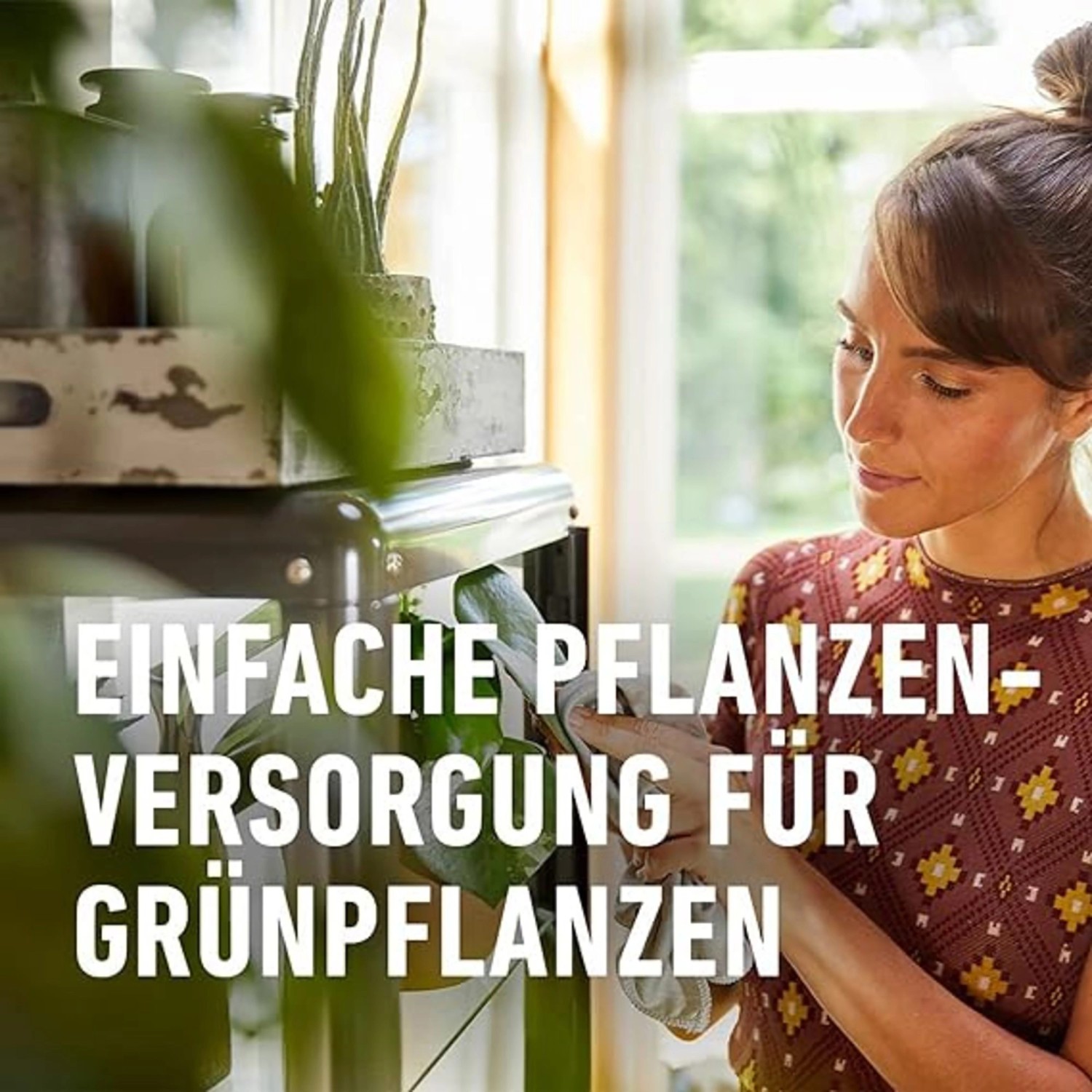Compo Düngestäbchen für Grünpflanzen und Palmen mit Guano 30 Stäbchen_6