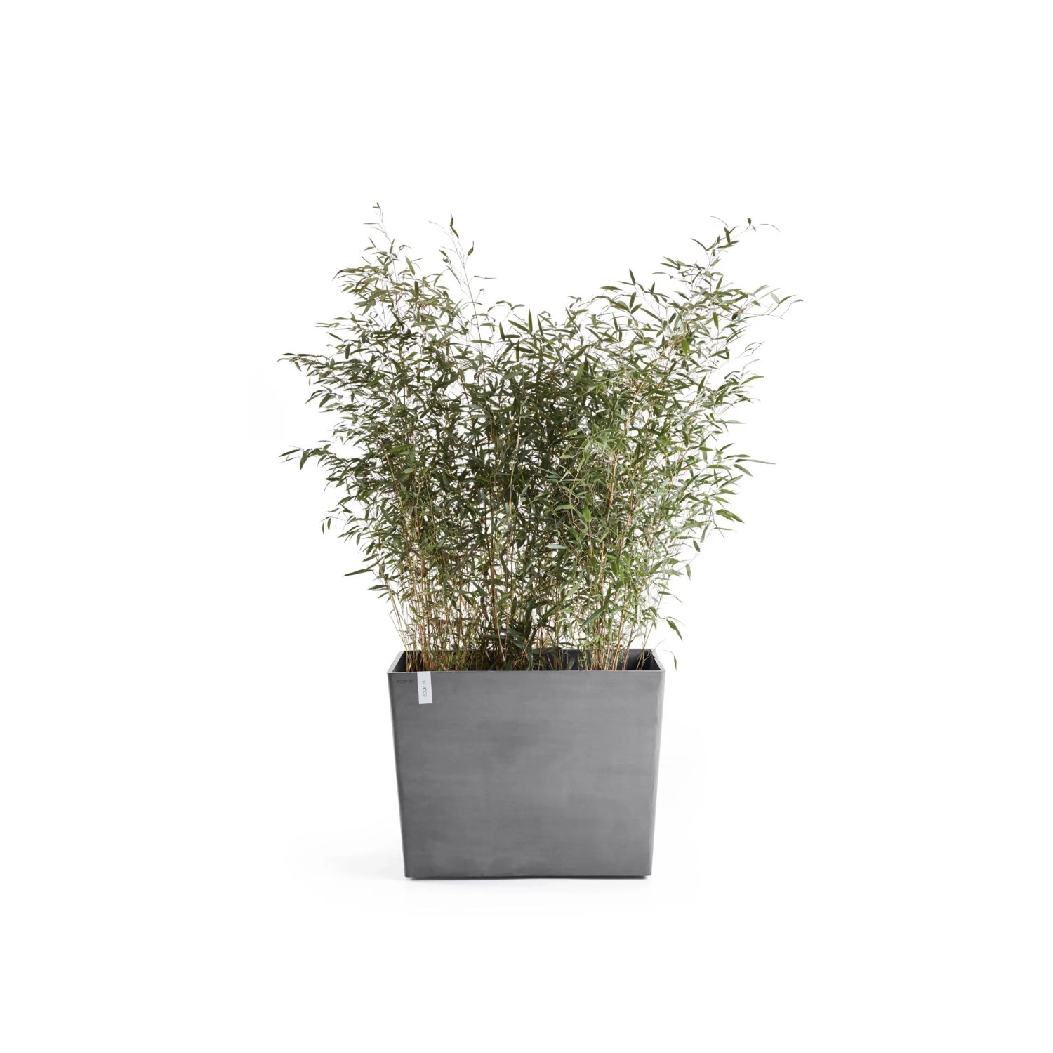 Ecopots Pflanztopf Paris Rollen Grau (HxBxT) 65 x 85 x 40 cm_2