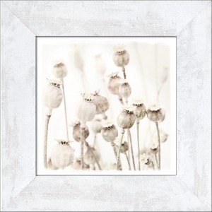 Pro Art Bild Framed Art Dried Poppies 44 cm x 44 cm