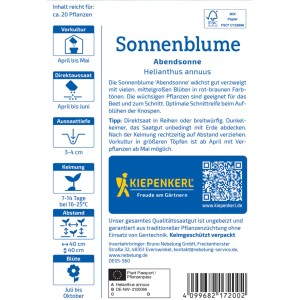 Kiepenkerl Saatgut Sonnenblume Abendsonne