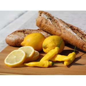 Blu Bio-Chili Lemon Drop mit Zitrone und Brot auf Holzbrett.
