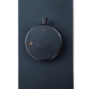 Detailaufnahme: Schwarze Steinbach Solardusche The Gate, Temperaturregler.