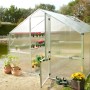KGT Gewächshaus Orchidee Alu blank, 12,74 m², mit geöffneter Tür und Pflanzen.