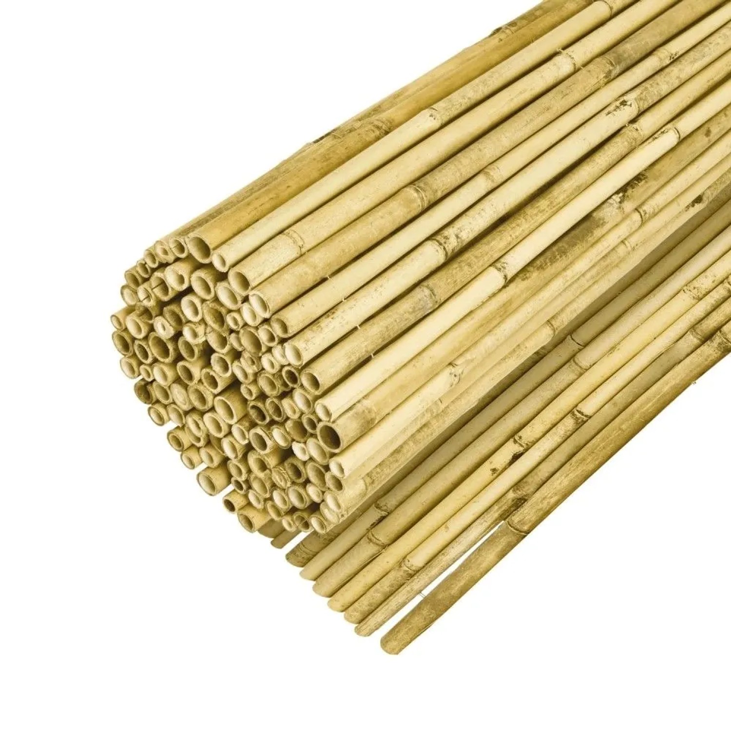 Sol Royal SolVision B99 Sichtschutzzaun 90x250cm Bambus Hell kaufen bei OBI