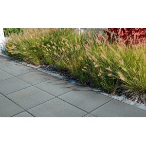 Terrassenplatten Fein Silbergrau 50x50 cm: Gehwegplatten aus Beton mit Grasbewuchs.